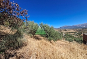 Viñuela 773&nbsp;m²