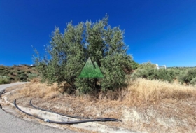 Viñuela 773&nbsp;m²