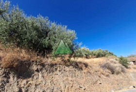 Viñuela 773&nbsp;m²