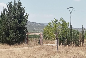 Foto 11