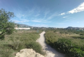 Foto 8