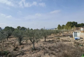 Foto 15