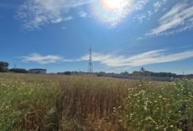 Puerto Real 4584&nbsp;m² 