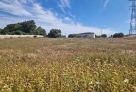 Puerto Real 4584&nbsp;m² 