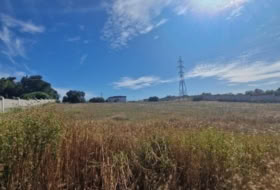 Puerto Real 4584&nbsp;m² 