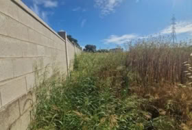 Puerto Real 4584&nbsp;m² 