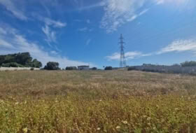 Puerto Real 4584&nbsp;m² 