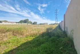 Puerto Real 4584&nbsp;m² 