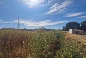 Puerto Real 4584&nbsp;m² 