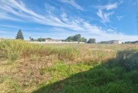 Puerto Real 4584&nbsp;m² 