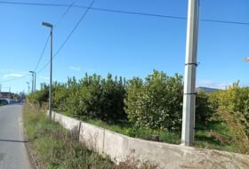 Librilla 6820&nbsp;m²