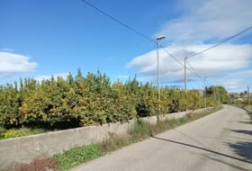 Librilla 6820&nbsp;m²