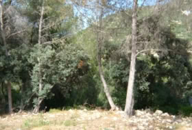 Alcalalí 795&nbsp;m²