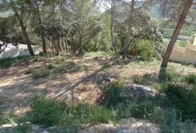 Alcalalí 795&nbsp;m²
