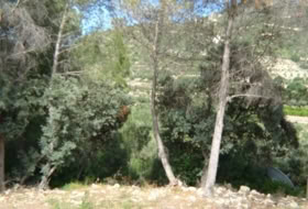 Alcalalí 795&nbsp;m²