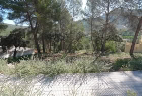 Alcalalí 795&nbsp;m²