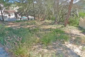 Alcalalí 795&nbsp;m²