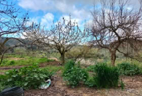 Foto 11