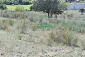 Ciudad Rodrigo 15500&nbsp;m²