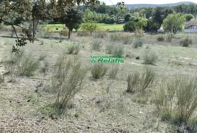 Ciudad Rodrigo 15500&nbsp;m²