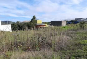 Tacoronte 5220&nbsp;m²