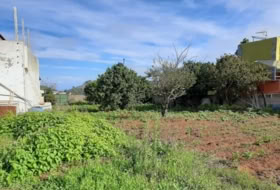 Tacoronte 5220&nbsp;m²