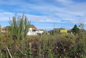 Tacoronte 5220&nbsp;m²