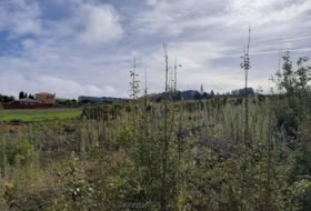 Tacoronte 5220&nbsp;m²