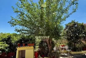 Foto 19