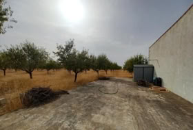 Foto 16