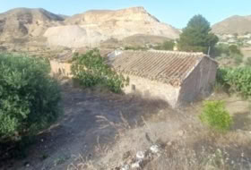 Foto 15