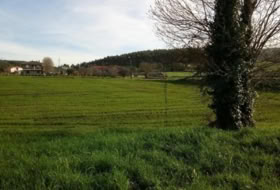 Bareyo 2789&nbsp;m² 