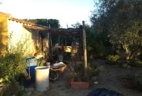 Foto 15