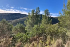 Foto 9