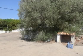 Foto 14