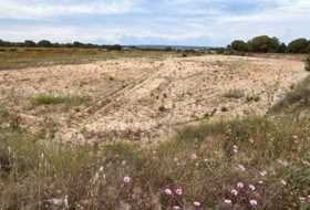 Elx 10371&nbsp;m² 