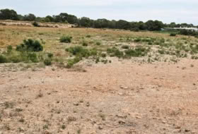Elx 10371&nbsp;m² 