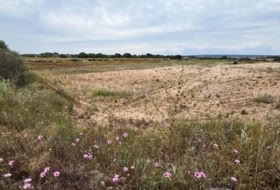 Elx 10371&nbsp;m² 