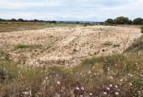 Elx 10371&nbsp;m² 