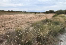 Elx 10371&nbsp;m² 