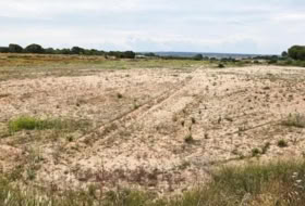 Elx 10371&nbsp;m² 
