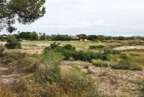 Elx 10371&nbsp;m² 