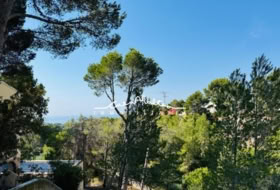 Altea 2120&nbsp;m²