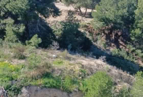 Foto 8