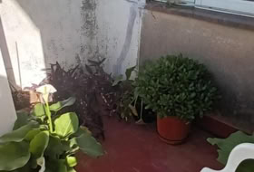Hondón de los Frailes 344&nbsp;m²