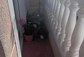 Hondón de los Frailes 344&nbsp;m²
