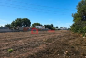 Náquera 1447&nbsp;m²