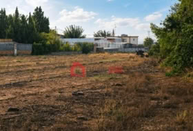 Náquera 1447&nbsp;m²