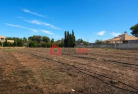 Náquera 1447&nbsp;m²