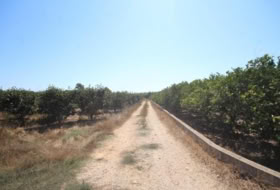 Benicull de Xúquer 40924&nbsp;m²
